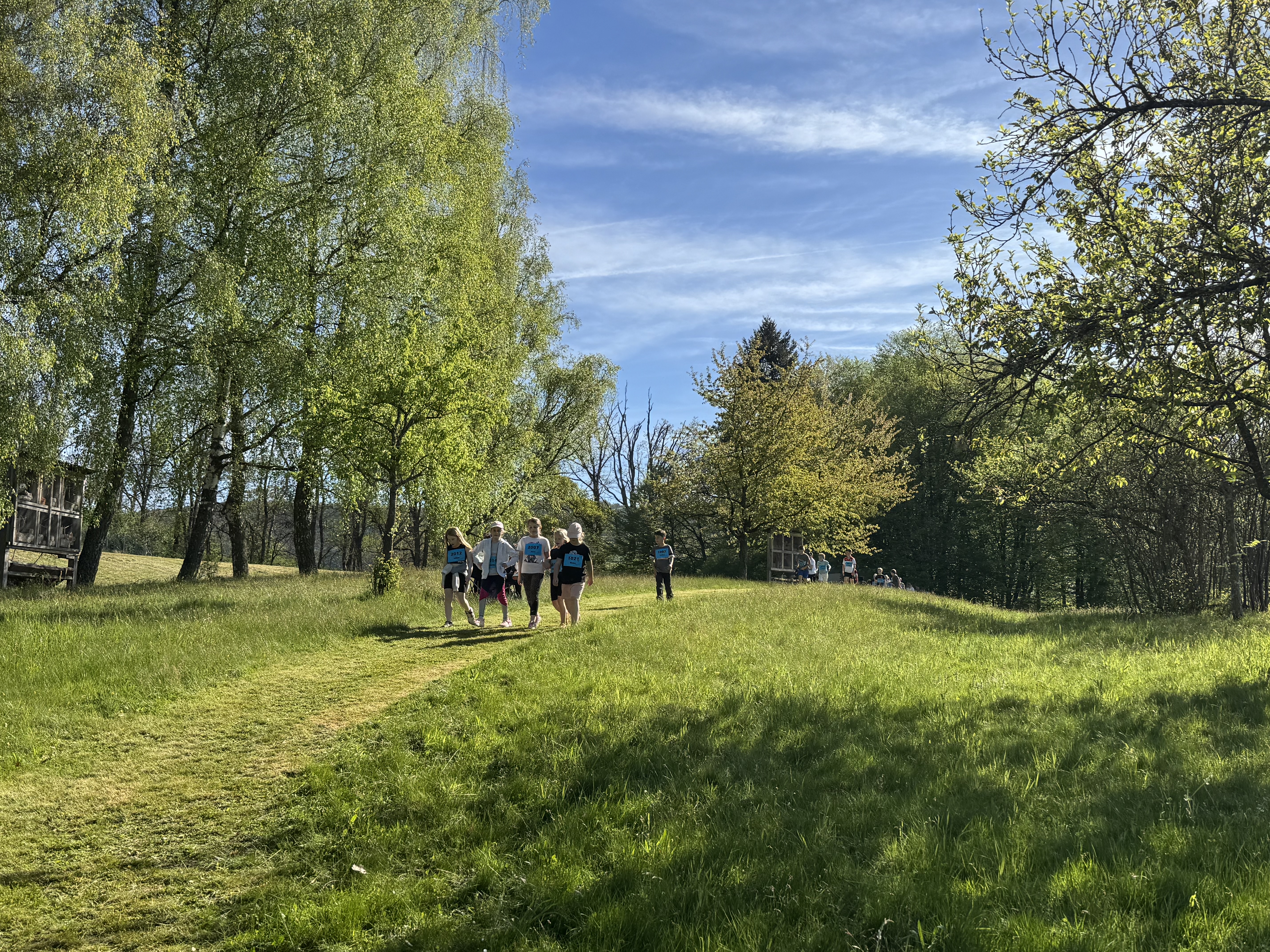 Kinder beim Walken auf der Wiese